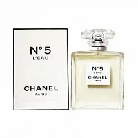 Женская парфюмерия Chanel №5 L